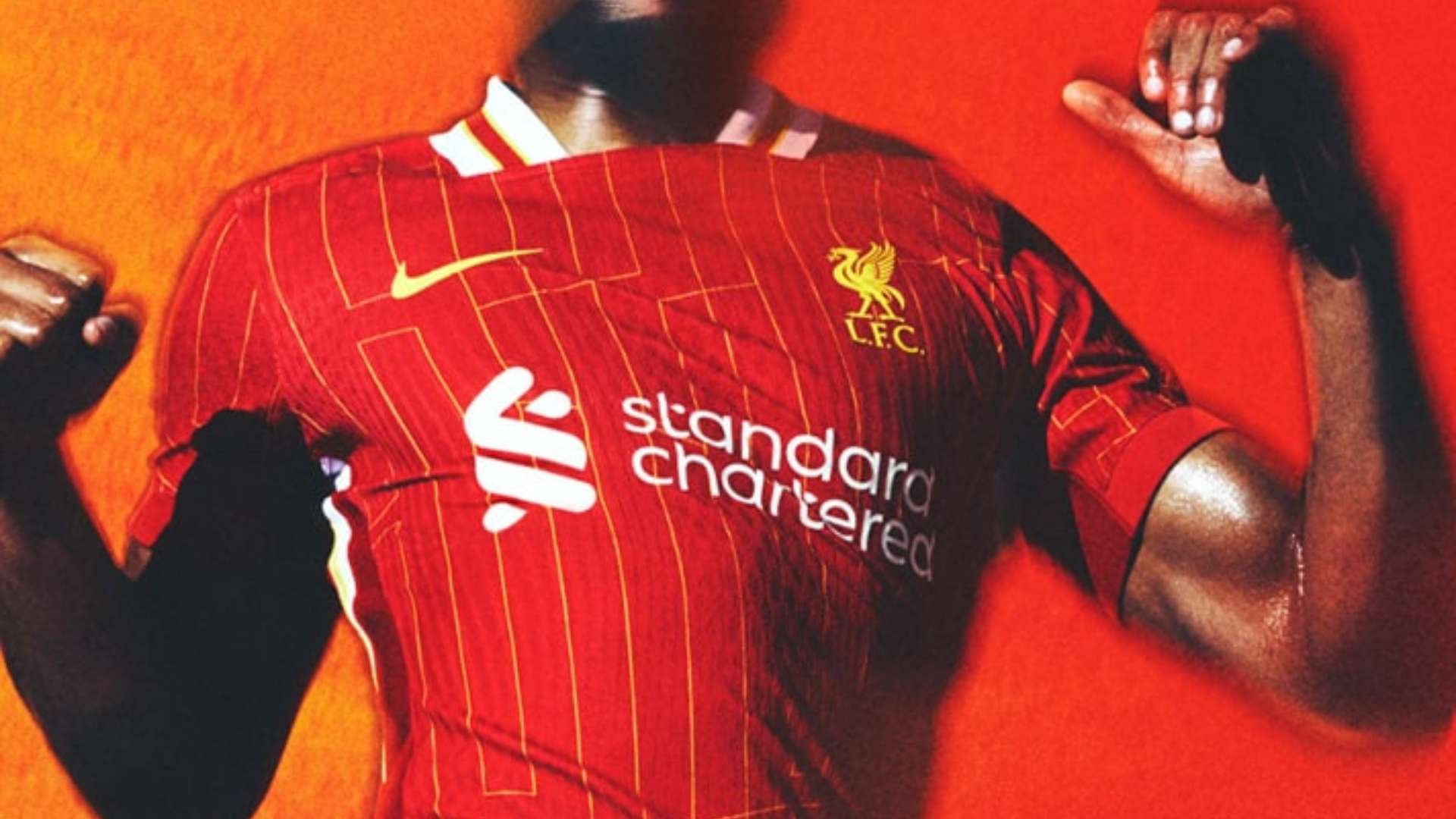 在社交媒体 在社交媒体